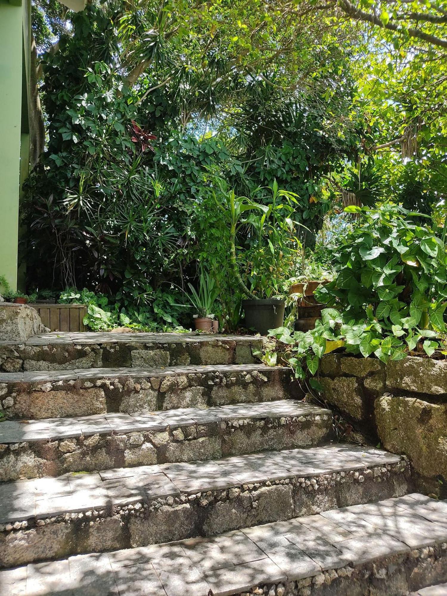 Samauma Floripa Aluguel De Quartos Florianópolis Екстериор снимка